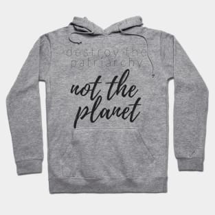 DESTROY THE PATRIARCHY NOT THE PLANET Hoodie